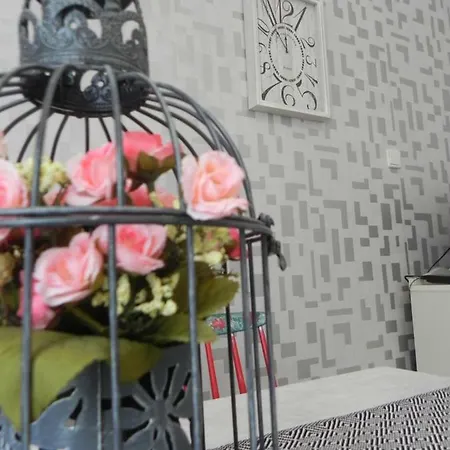 Apartment Silver Shades *